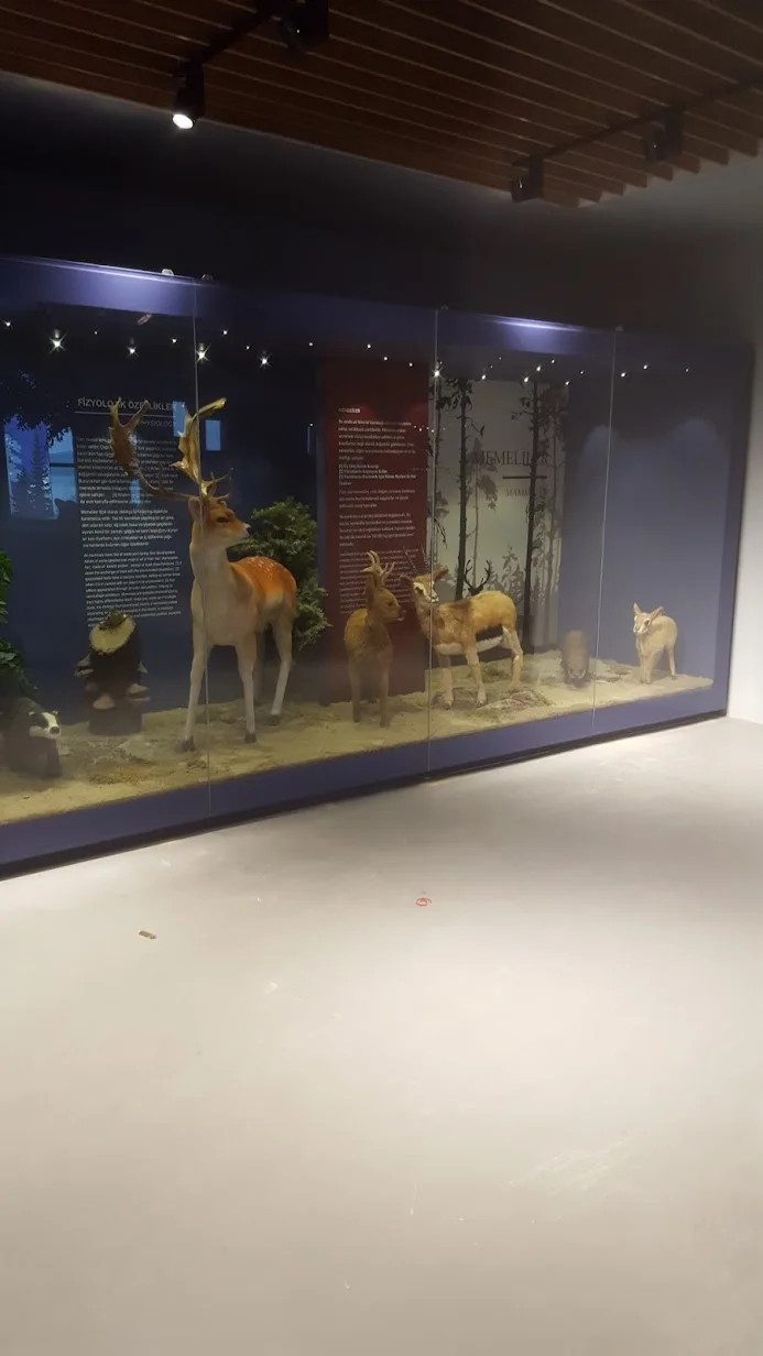 Adana Biyolojik Çeşitlilik Müzesi galeri fotoğrafı